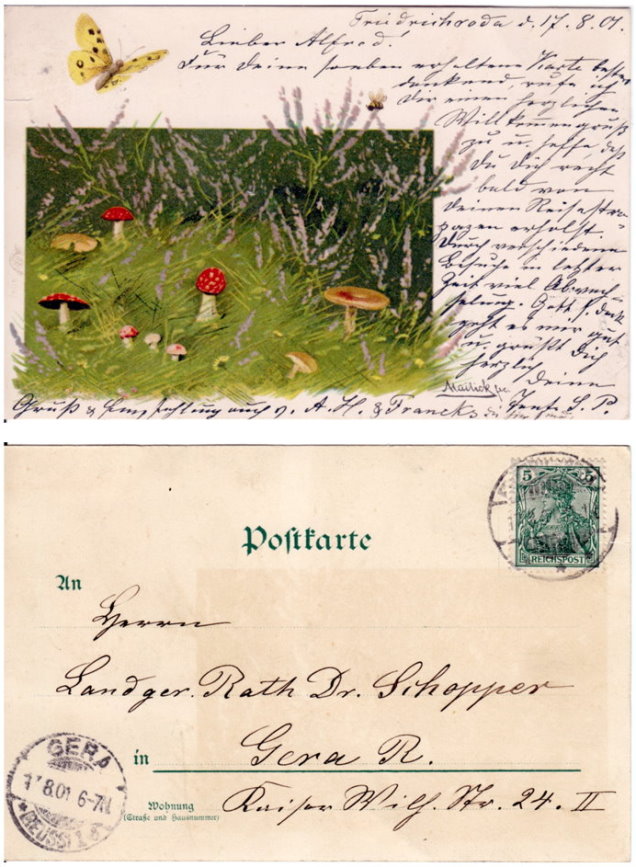 Postkarte_1901