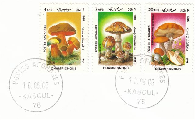 Amanita-Briefmarken-Afghanistan