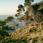 Fincahotels im Hinterland: Das andere Mallorca